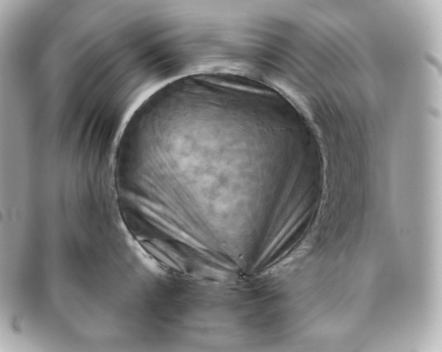 X0000096470816200802071855