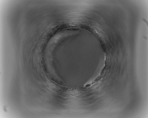 X0000096470817200802071854