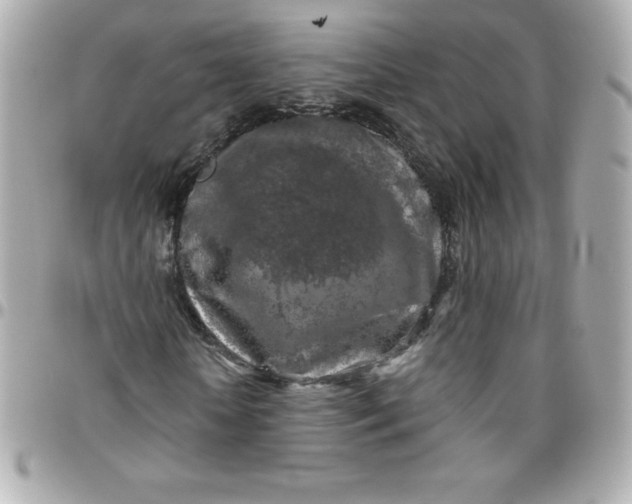 X0000096470818200802071854