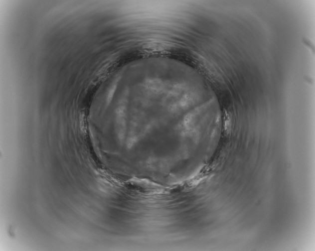 X0000096470819200802071854