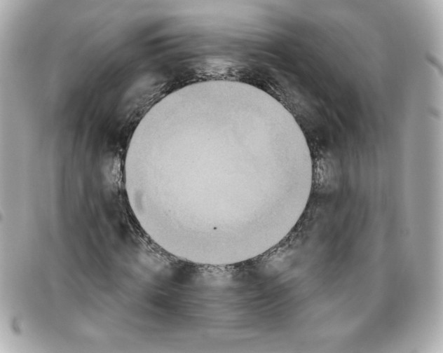 X0000096470820200802071854