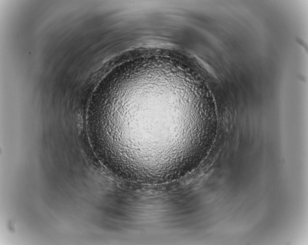 X0000096470821200802071854