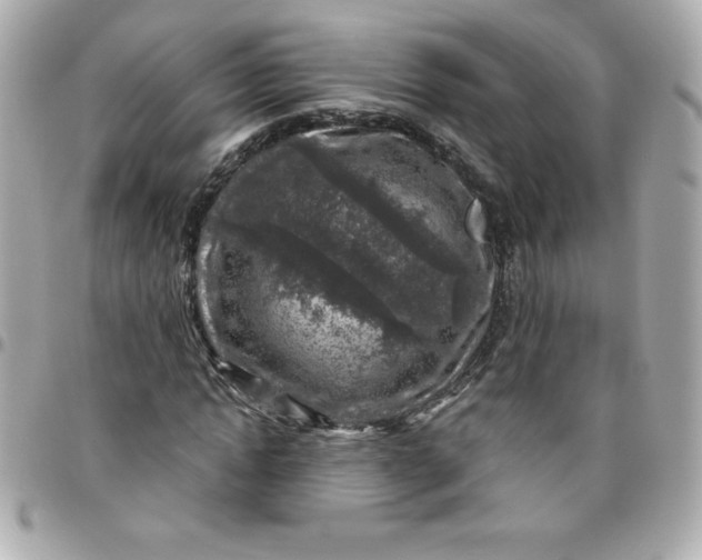 X0000096470822200802071854