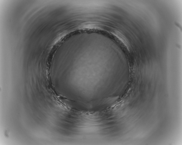 X0000096470823200802071854