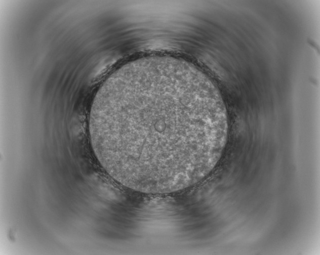 X0000096470824200802071854