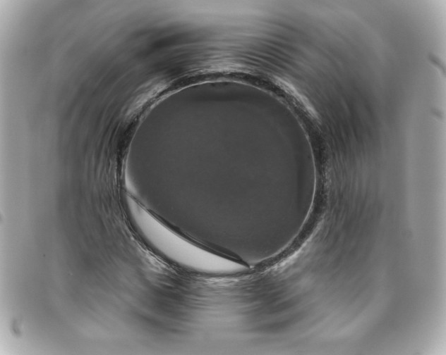 X0000096470825200802071854