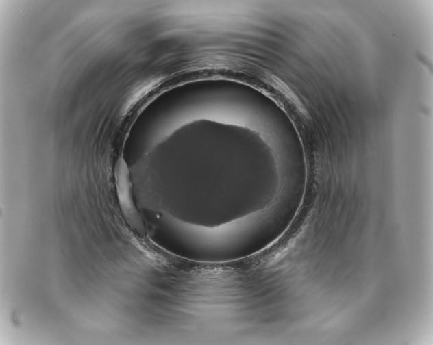 X0000096470826200802071854