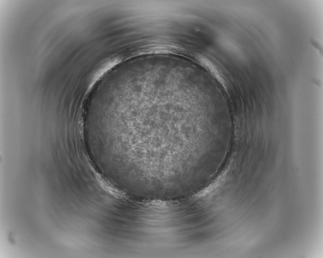 X0000096470827200802071854