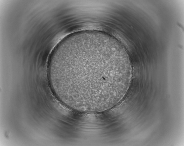 X0000096470828200802071854