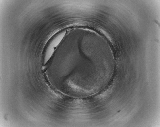 X0000096470829200802071854