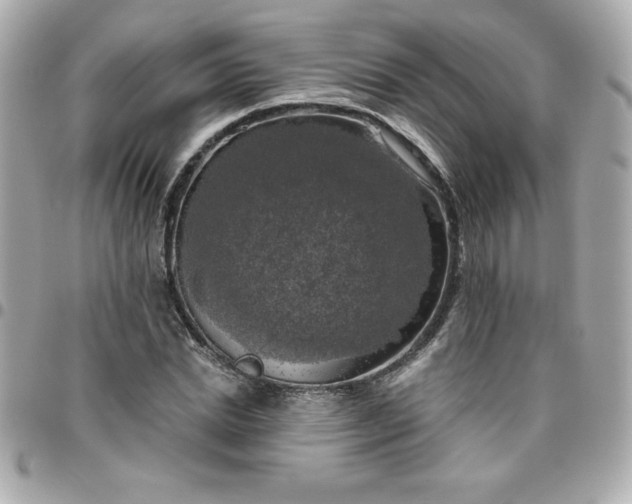 X0000096470830200802071854