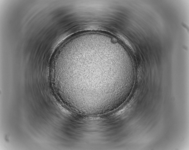 X0000096470831200802071854