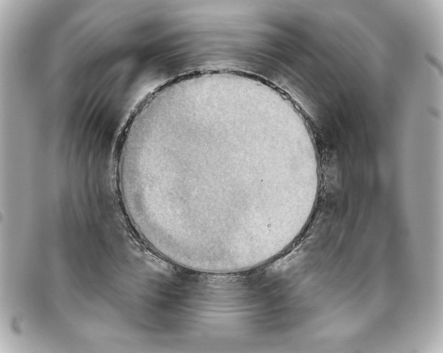 X0000096470832200802071854