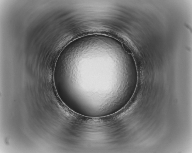 X0000096470833200802071854