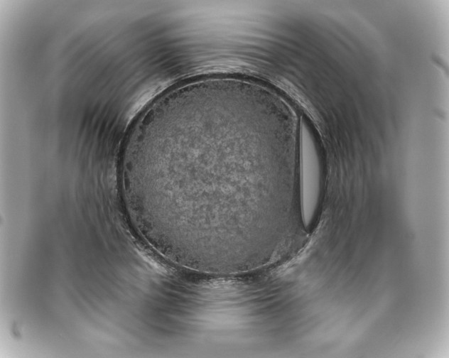 X0000096470834200802071855