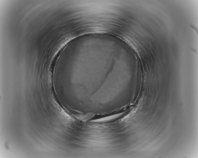 X0000096470835200802071855