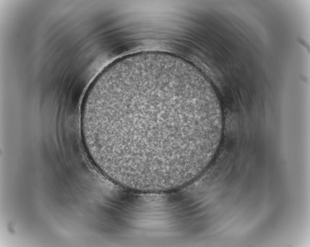 X0000096470836200802071855