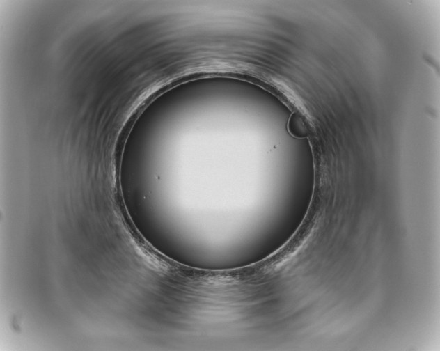 X0000096470837200802071855