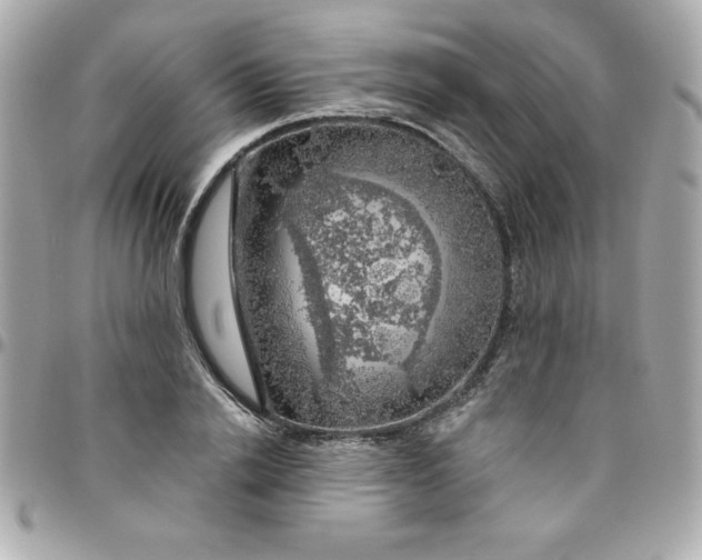 X0000096470838200802071855