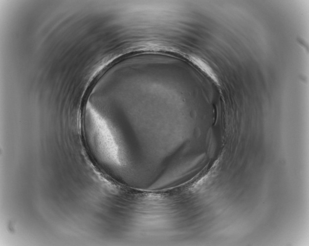 X0000096470839200802071855