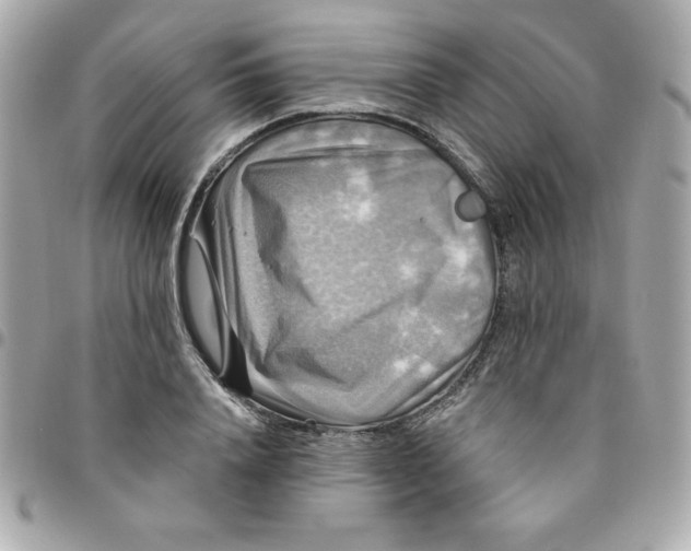 X0000096470840200802071855