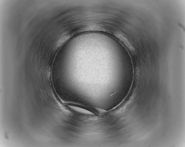 X0000096470841200802071855