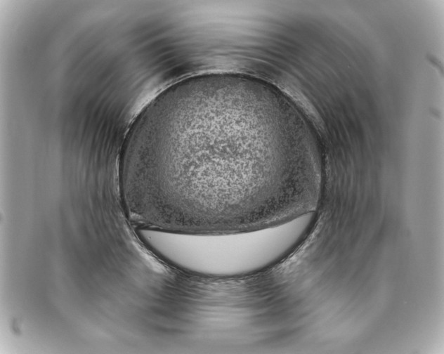 X0000096470842200802071855