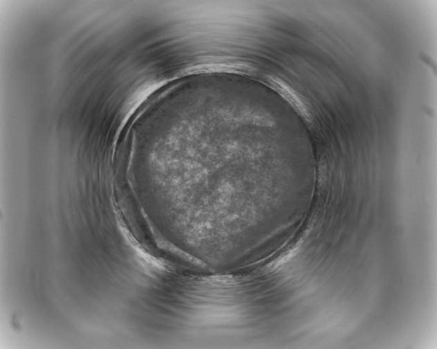 X0000096470844200802071855