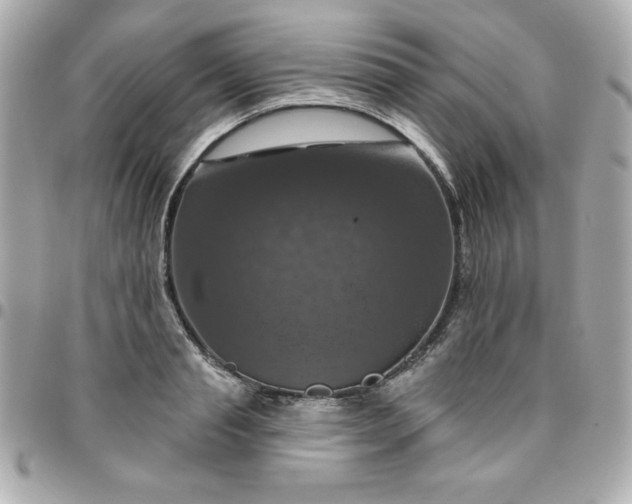 X0000096470845200802071855