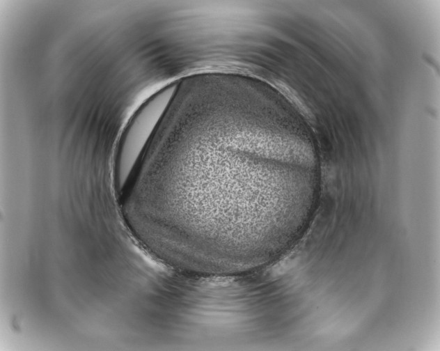 X0000096470846200802071855