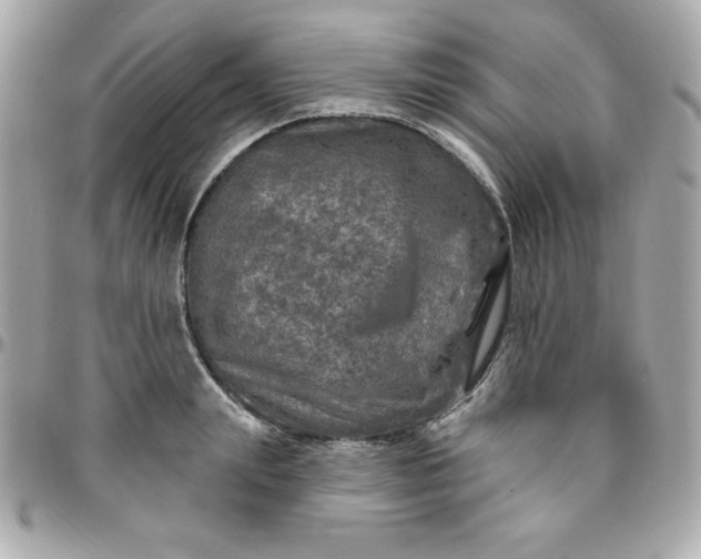 X0000096470847200802071855