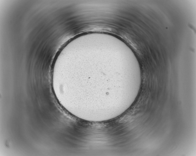 X0000096470848200802071855