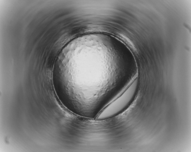 X0000096470849200802071855