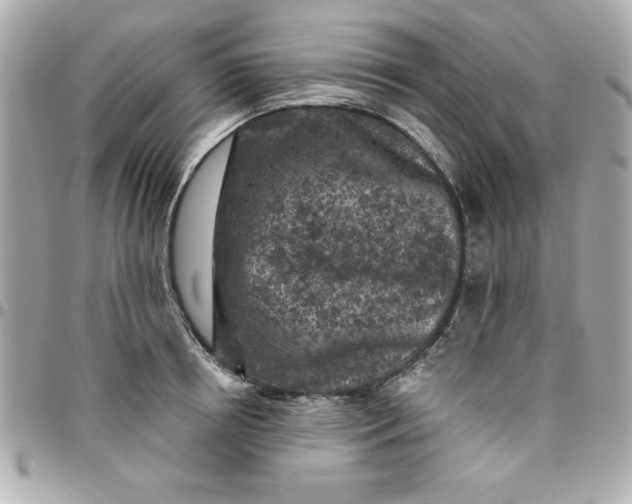 X0000096470850200802071855