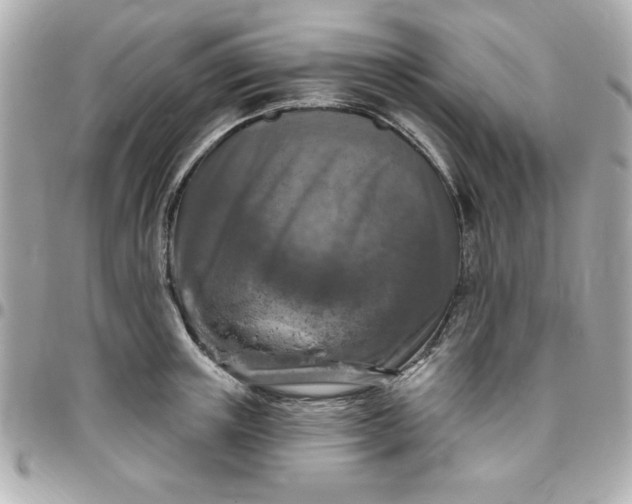 X0000096470851200802071855