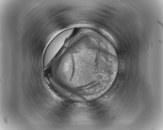 X0000096470852200802071855