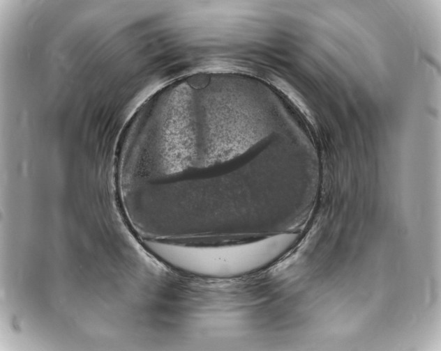 X0000096470853200802071855