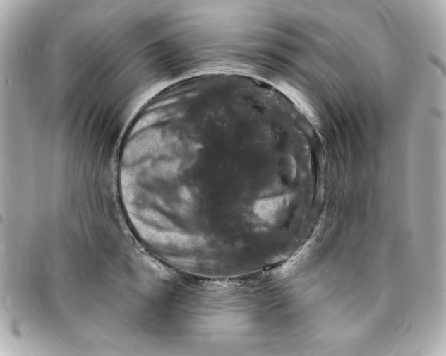 X0000096470854200802071855