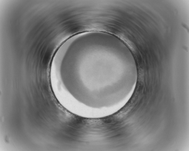 X0000096470856200802071855