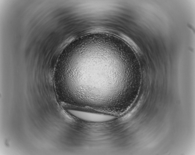 X0000096470857200802071855