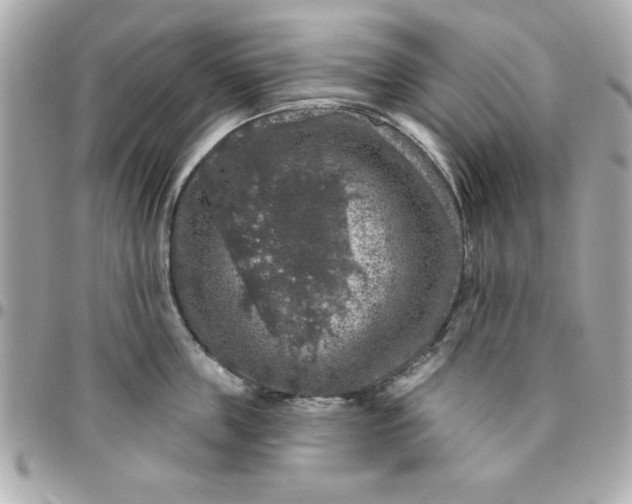 X0000096470859200802071855