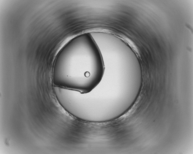 X0000096470860200802071855