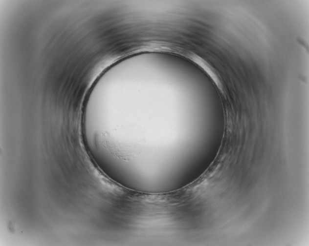 X0000096470861200802071855