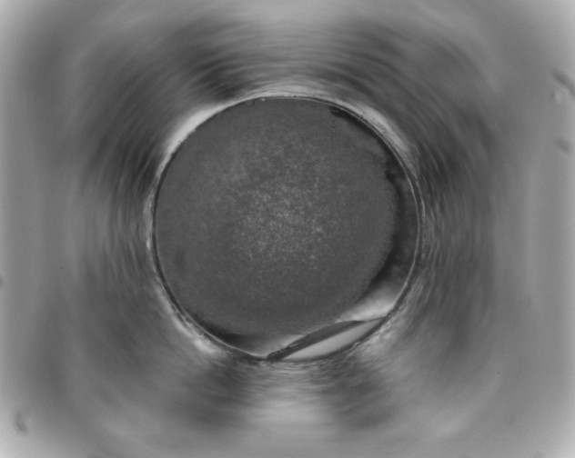 X0000096470862200802071855