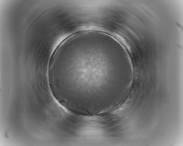 X0000096470863200802071855