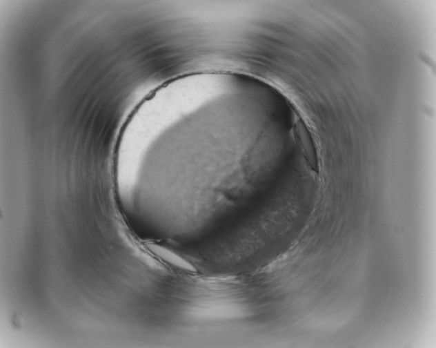 X0000096470864200802071855