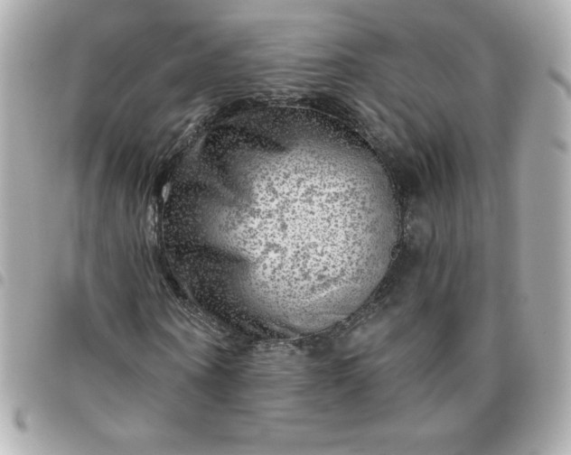 X0000096470866200802071854