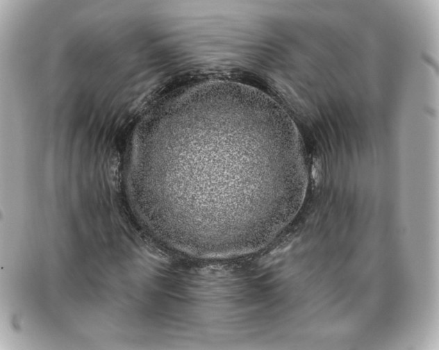 X0000096470867200802071854