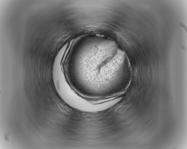 X0000096470868200802071854