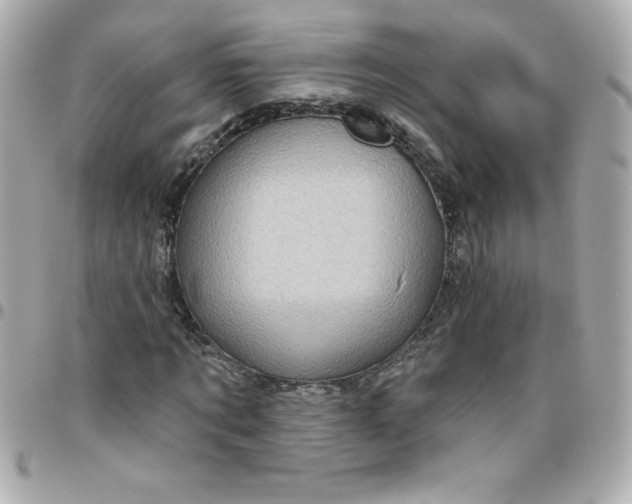 X0000096470869200802071854